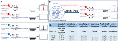 Applying amplification refractory mutation system technique to detecting cell-free fetal DNA for single-gene disorders purpose